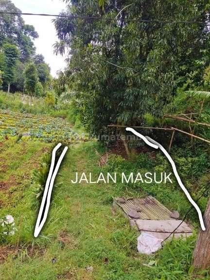 Tanah Lembang Bandung Bisa Utk Villa, Perkebunan 