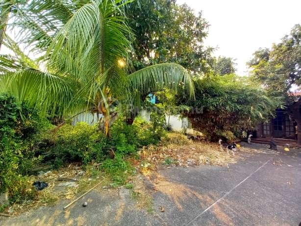 TANAH RAWA BELONG DEKAT KAMPUS BINUS KEBON JERUK JAKARTA BARAT