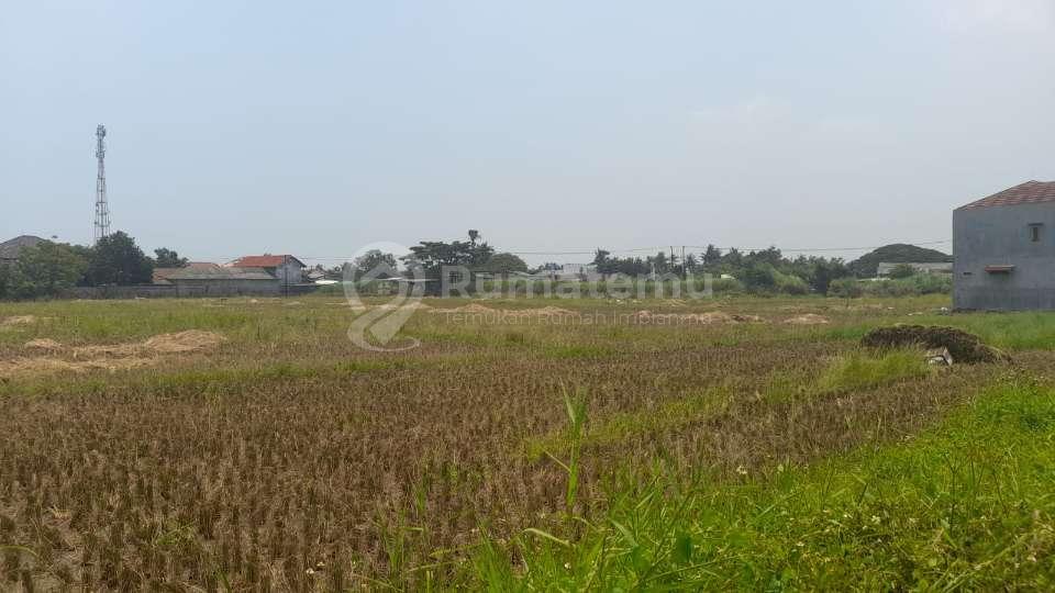 Tanah Sawah di Pasilian,Kronjo-Lokasi 50 Meter Dari Jl.raya Kronjo Dekat Kantor Pos & Samsat Kronjo
